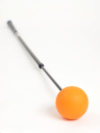 Orange Whip Training Aid